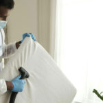 DIY vs Professional Mould Remediation