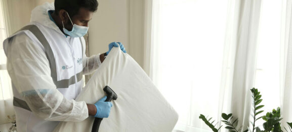 DIY vs Professional Mould Remediation