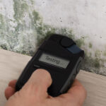Mould inspections