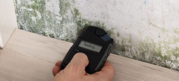 Mould inspections