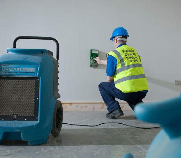 Commercial Mould Removal